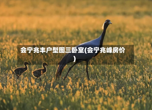 会宁兆丰户型图三卧室(会宁兆峰房价)-第2张图片
